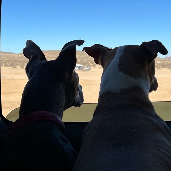 Meet your Posher, Lauren - Picture 7 of 7